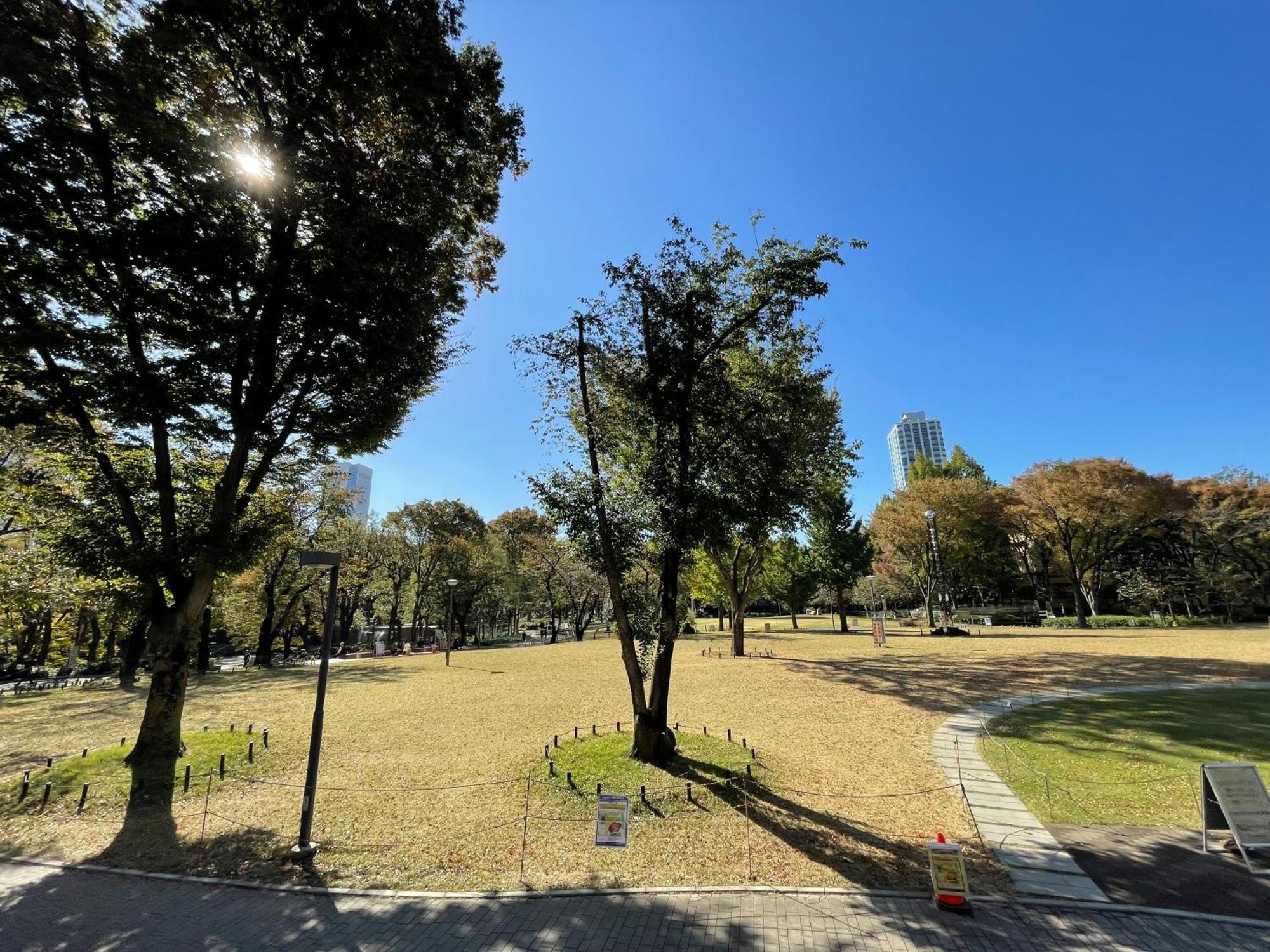 Max4People Shinjuku 7Minutes Shibuya12 Minutes 5Minutes Walk From Hatsudai Station Leon Resort Shibuya Τόκιο Εξωτερικό φωτογραφία